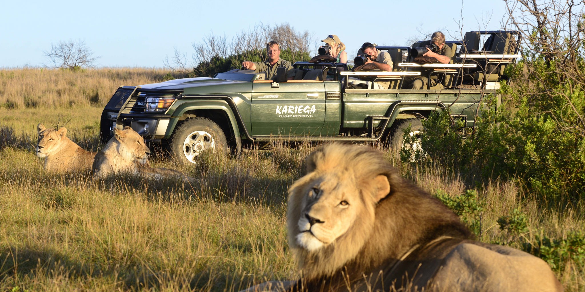 jungel-safari